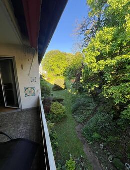Sehr schöne 3 Zimmer Wohnung in Frankfurt Sachsenhausen - Frankfurt (Main)