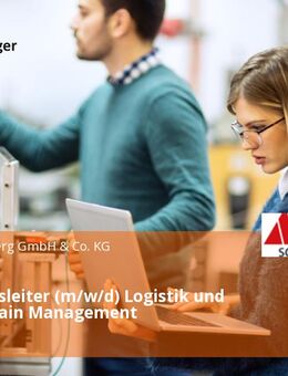 Abteilungsleiter (m/w/d) Logistik und Supply Chain Management - Dunningen