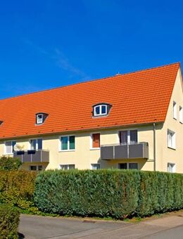 Schöne Wohnung im Erdgeschoss - Blomberg (Nordrhein-Westfalen)