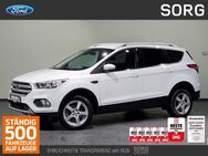 Ford Kuga, 1.5 EcoBoost Cool & Connect, Jahr 2018 - Fulda