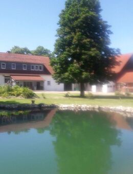 Genialer Resthof / Zweifamilienhaus in Top-Randlage - Buchholz (Aller)