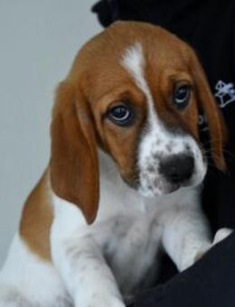 Christhie freut sich auf Sie! - Neuss