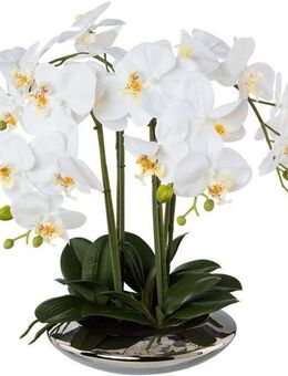 Kunstorchidee Deko-Orchidee Phalaenopsis in Keramikschale Orchidee Phalenopsis, Creativ green, Höhe 41 cm
