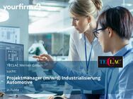 Projektmanager (m/w/d) Industrialisierung Automotive - Fulda