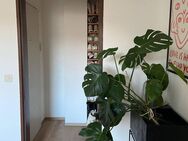 Gemültiche DG-Wohnung in der Innenstadt - Trier
