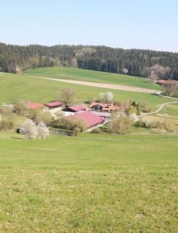 DIPL.-Immowirt MAIER !! SELTENES REFUGIUM - HOF mit Reithalle samt 42 ha Grund arrondiert-300 kWh PV - Bad Birnbach