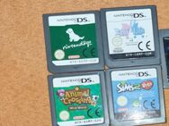 Nintendo DS Spiele - Kaiserslautern