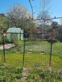 Doppelhaushälfte mit Gartenparadies für die Familie - Speyer