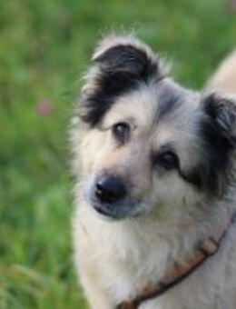 Wer verliebt sich in die hübsche Lissi? - München