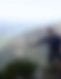 Wil*** - Herbolzheim