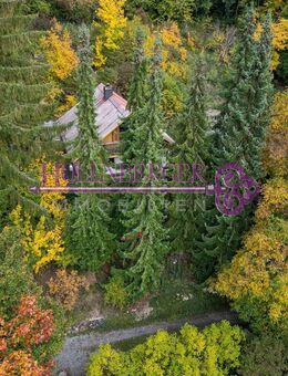 Wohnen am Schneckenberg - wo Geschichten leben und Privatsphäre selbstverständlich ist. - Regensburg