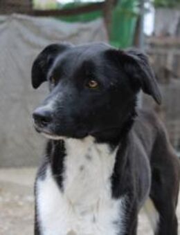 Bezaubernde Andrea sucht ihr Glück - Celle