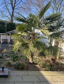 Doppelhaushälfte mit Garten und Balkon - Sackgassen Lage in Neukirchen-Vluyn - Neukirchen-Vluyn