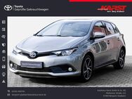 Toyota Auris, 1.8 Hybrid Team D, Jahr 2019 - Bergisch Gladbach
