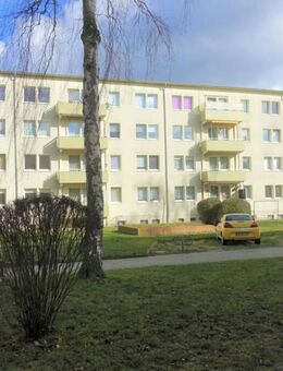 Kompakte Wohlfühloase - 1-Raum-Wohnung im Geiseltal - Braunsbedra