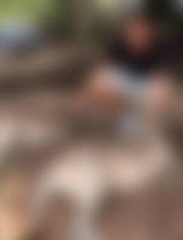 Gui*** - Illerkirchberg