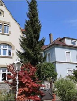 GLOBAL INVEST SINSHEIM | Tolle, frisch renovierte 3-Zimmer-Gründerzeitwohnung in Sinsheim - Sinsheim
