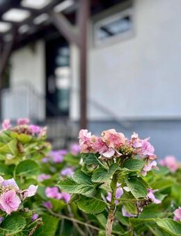 kinderfreundlicher Rohdiamant mit großzügigem Garten - Berlin