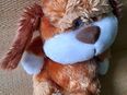 Spielzeug: Kleiner brauner Bär. Stofftier. in 90419