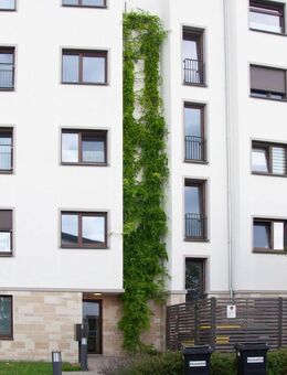 Stilvolle, energieeffiziente, zentrale Wohnung in KfW-40-Haus für junge Paare - Offenbach (Main)