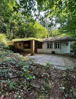 Ferienhaus in Hameln-Rohrsen! Abgeschieden! Umgeben von Wald auf einem Berg! 3.568 qm Grdst.! - Hameln