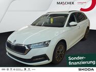 Skoda Octavia, 1.5 TSI Combi Ambition VC Si, Jahr 2024 - Wackersdorf