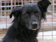 Wanda - Kallmünz