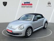 VW Beetle Cabriolet 1.2 TSI BMT Club, Navi, SHZ - Wunstorf