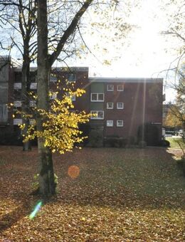 Freie 1-Zimmer-Hochparterre-Wohnung nur einen "Katzensprung" bis Norderstedt-Mitte - Norderstedt