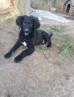 Coffee 💚 lass uns zusammen Spaß haben - Bad Karlshafen