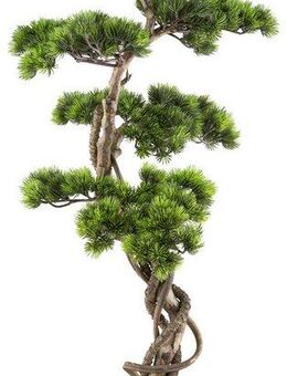 Kunstbonsai Bonsai Kiefer, Creativ green, Höhe 90 cm, mit elegantem Stamm