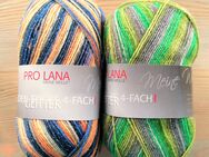 100g Sockenwolle 4fach Pro Lana Golden Socks Glitter - Dahme