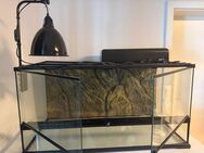 Exo Terra Terrarium inkl. Zubehör sowie Rückwand - Esslingen (Neckar)