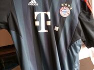 Original FC Bayern München Trikot gr XL - Kassel