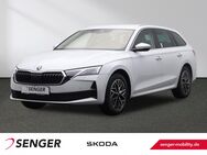 Skoda Octavia, 2.0 TDI Combi Selection, Jahr 2024 - Rheine