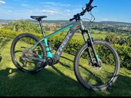 Verkaufe mein sehr gepflegtes E-Bike von TREK - Solms