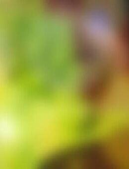 FLO*** - Emmendingen