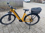 E-Bike Raleigh - Sankt Wolfgang