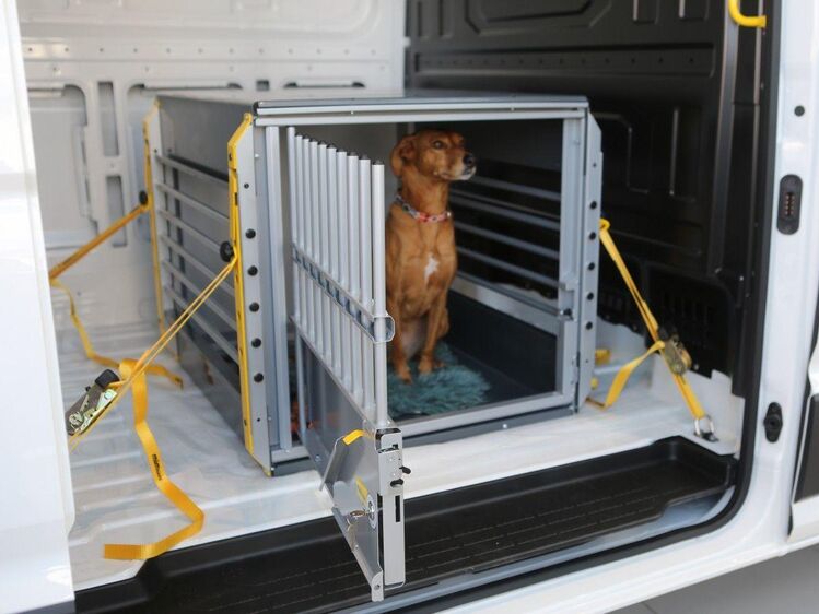 Ford Kleinmetall Hundebox MultiCage Einzelbox *Borgmann* - Krefeld