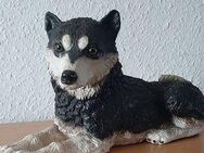 Husky-Skulptur - Hamm