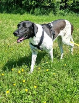 Nina sucht Herzensmenschen - Wettenberg
