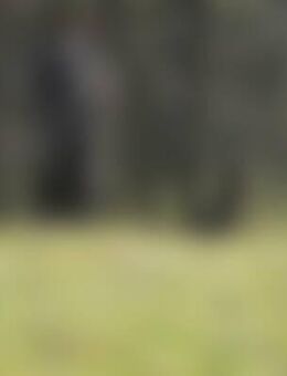 Sch*** - Weissach (Tal)