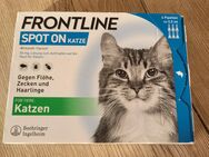 FRONTLINE SPOT ON für Katzen - Borken