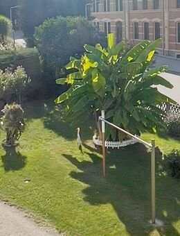 2,5-Zimmer-Wohnung mit Einbauküche & Mietergarten – direkt am Stadtpark - Meerane