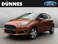 Ford Fiesta, 1.0 EcoBoost, Jahr 2014 - Regensburg