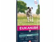 Eukanuba Adult Large Breed Lachs - 12 kg