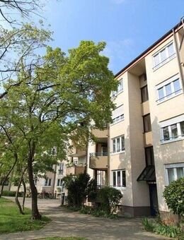 rollstuhlgerechte/barrierefreie 2 Zimmer-Wohnung in Oberreut - Karlsruhe