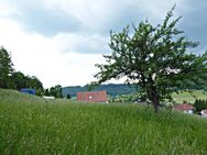 **Mit einzigartiger Aussicht** Baugrundstück in ruhiger Randlage - Burladingen