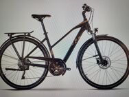 Trekkinrad, Raymond TourRay 5.0, Räder 28 Zoll, Rahmenhöhe 52 cm - Göppingen