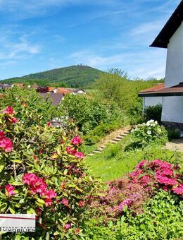 Sonne pur, Garten reichlich und Weitblick in die Weinberge - Baden-Baden